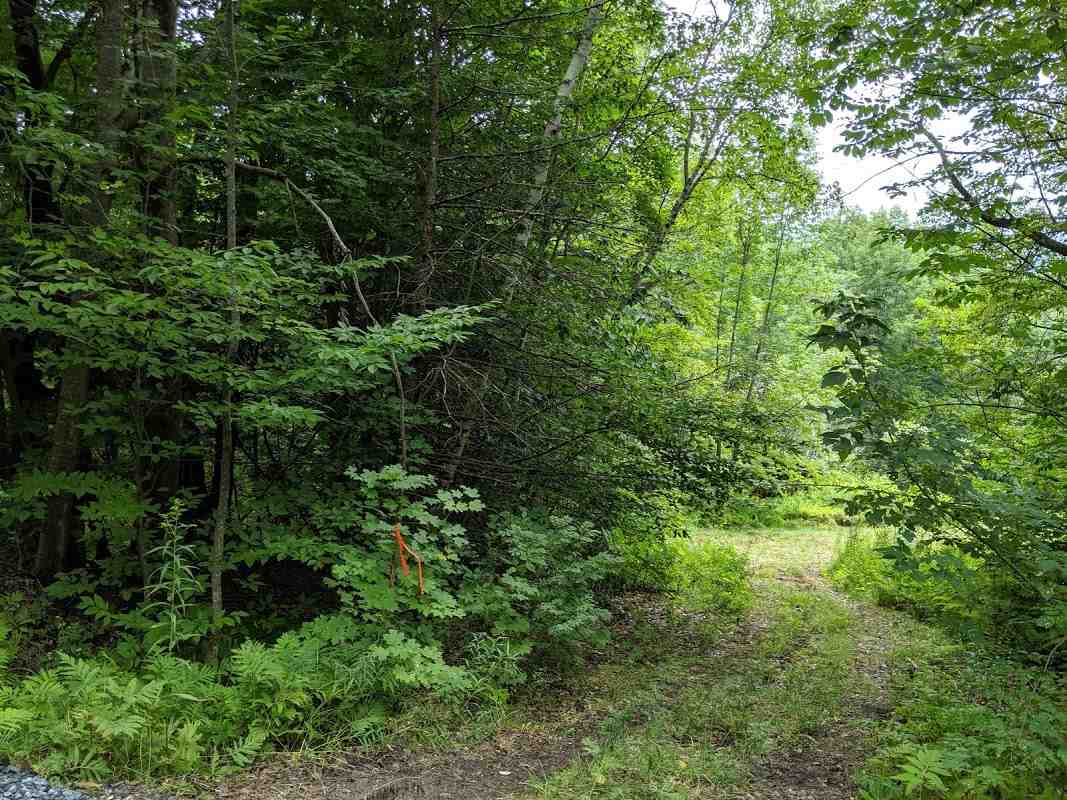 575 Hawk Mountain Road Pittsfield, VT 05762 - Photo 4 of 6