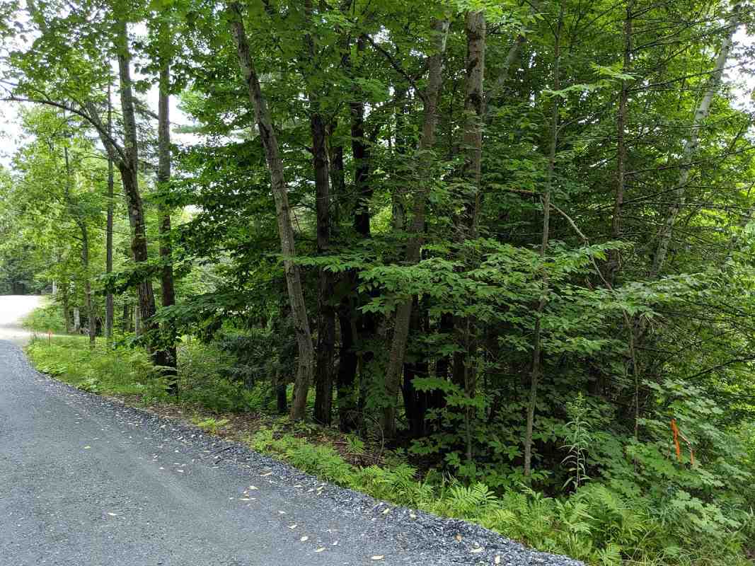 575 Hawk Mountain Road Pittsfield, VT 05762 - Photo 6 of 6