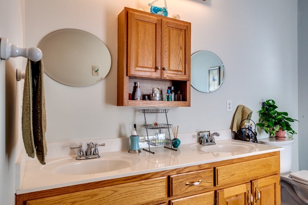 863 Dreamland Road Spring City, TN 37381 - Photo 22 of 47 Gallery Image 22