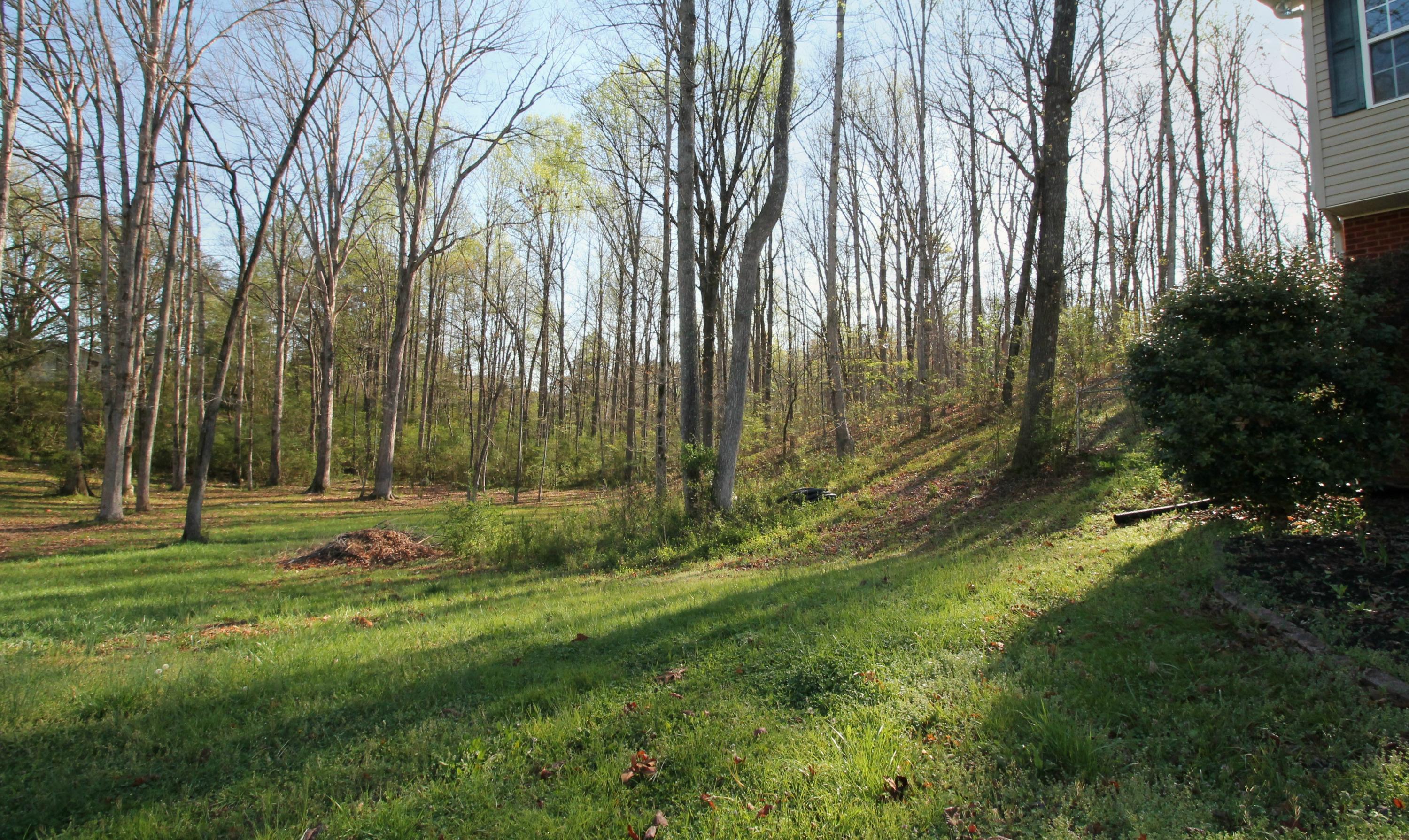 192 Gilbert Road Ringgold, GA 30736 - Photo 6 of 24 IMG_5295