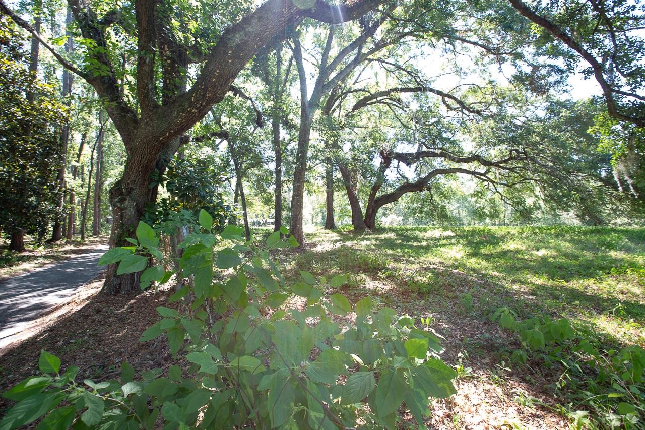 9255 Gamble Road Monticello, FL 32344 - Photo 12 of 40 Gallery Image 12