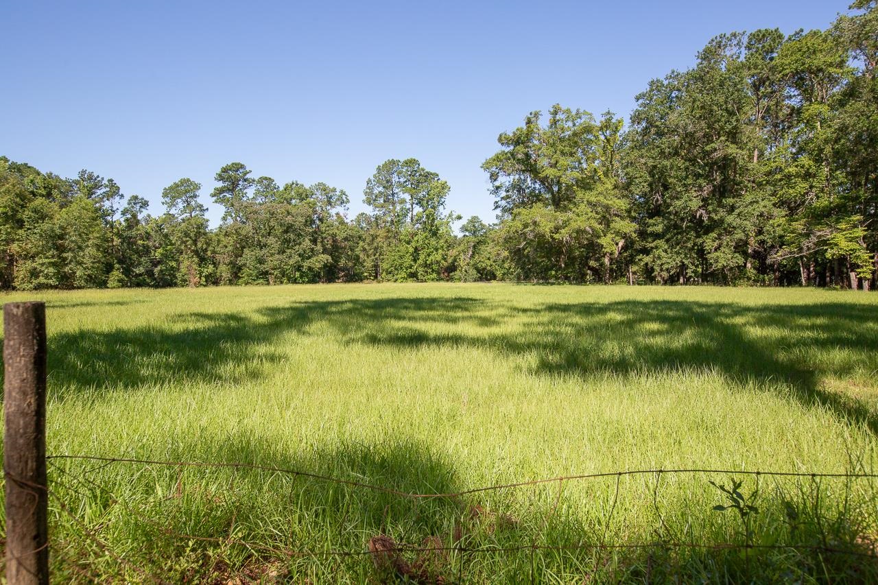 9255 Gamble Road Monticello, FL 32344 - Photo 36 of 40 Gallery Image 36