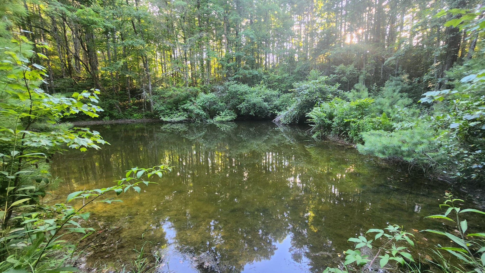 0 Tumbling Creek Road Copperhill, TN 37317 - Photo 19 of 62