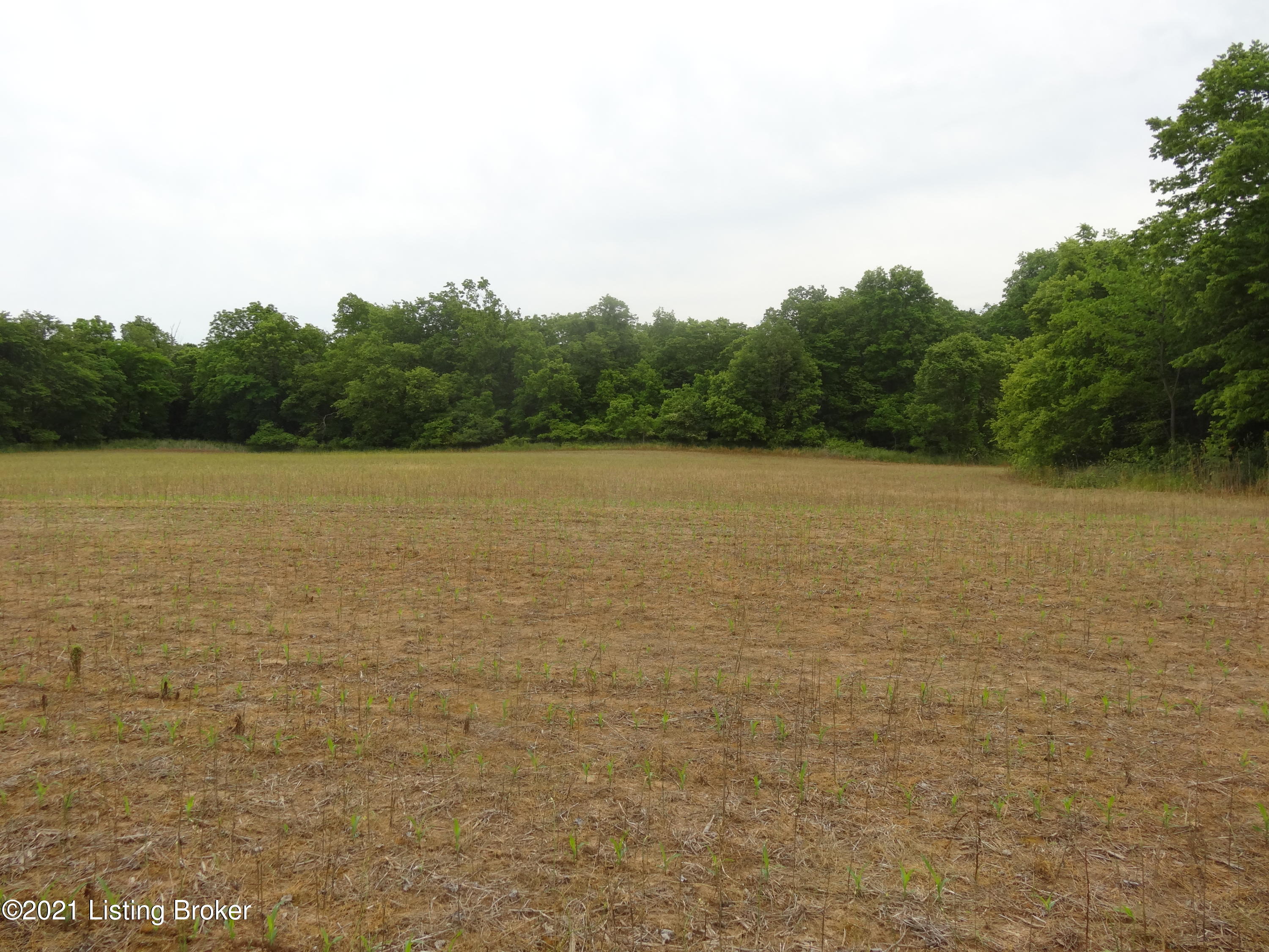 3900 Bagdad Road Bagdad, KY 40003 - Photo 1 of 36 land