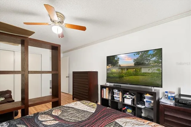 a living room with patio furniture and a potted plant