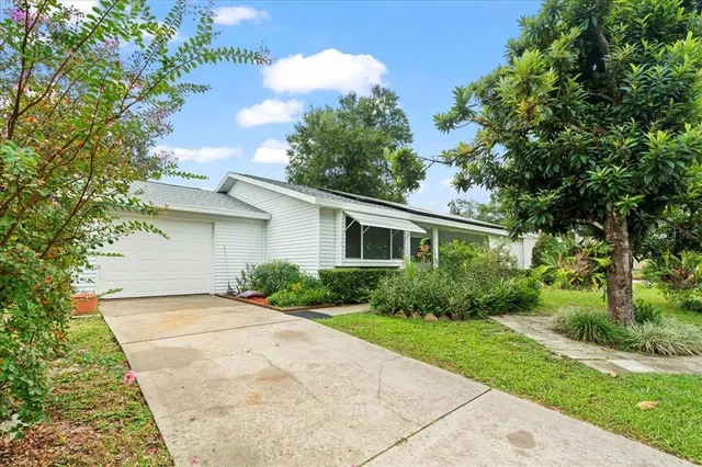 a view of a backyard with plants area