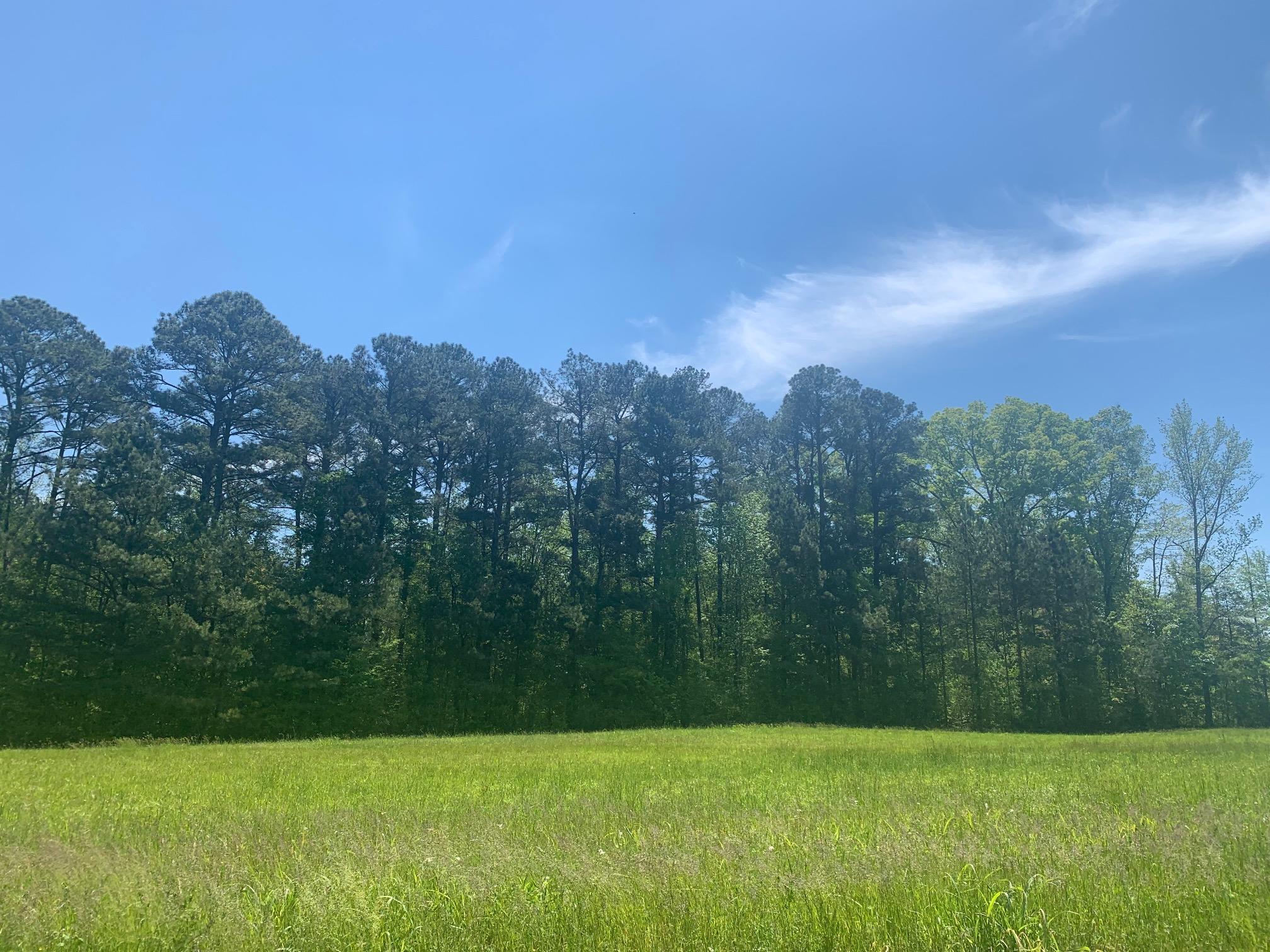 Tract 4 Keith Mill Road Dalton, GA 30721 - Photo 1 of 1 TRACT 4 pic