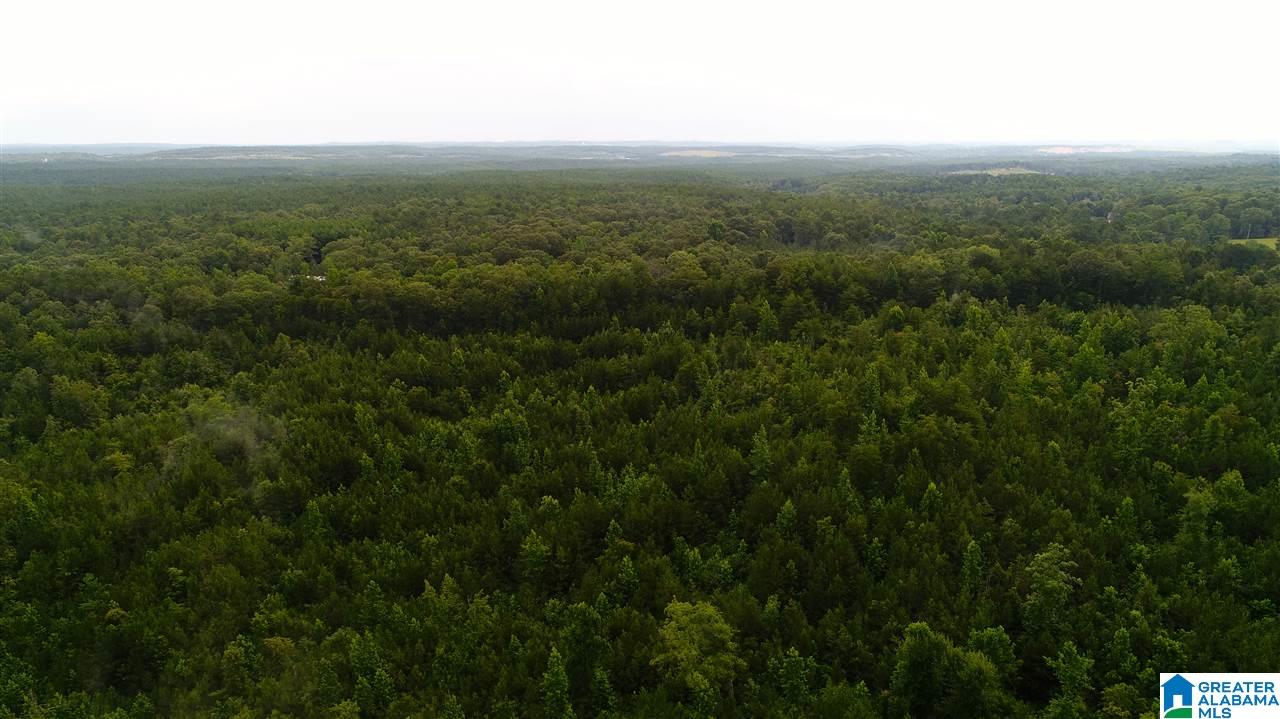 0 Alice Road McCalla, AL 35111 - Photo 8 of 9 Gallery Image 8