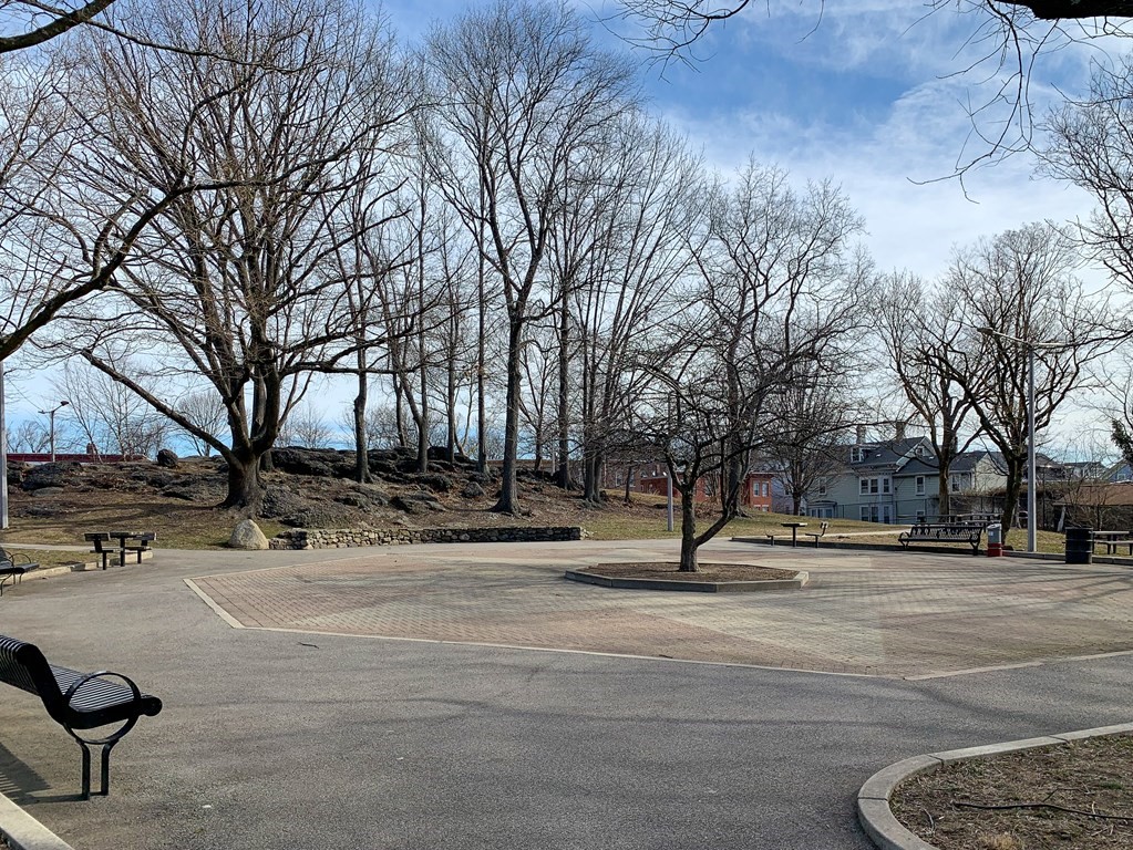 80 Winthrop Street, Unit 2 Boston, MA 02119 - Photo 17 of 18