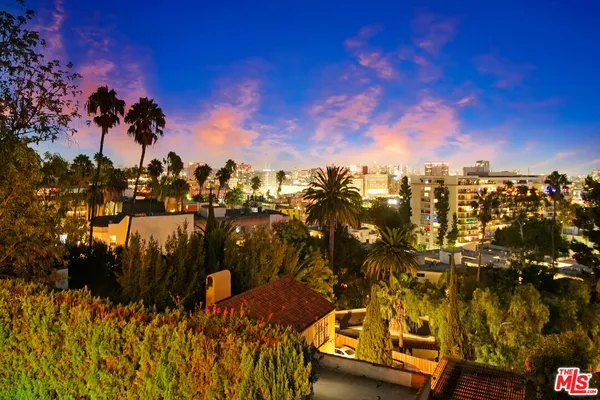 a view of a flower in a garden