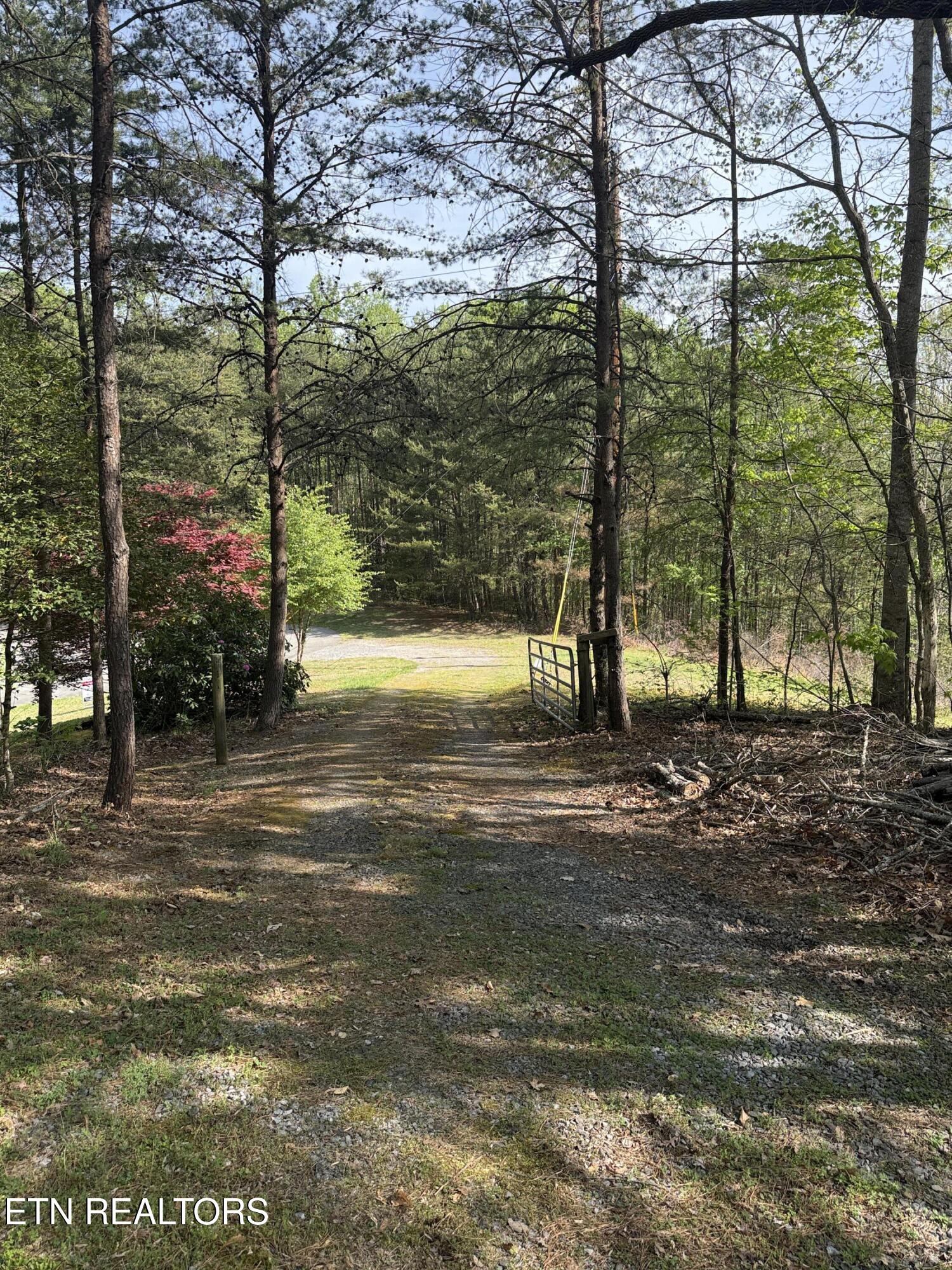 427 Gold Road Cosby, TN 37722 - Photo 47 of 56 IMG_0805