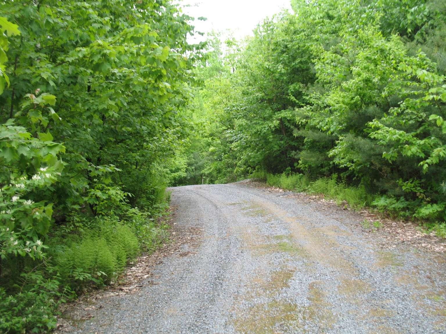 288 Graves Road Baltimore, VT 05143 - Photo 3 of 16