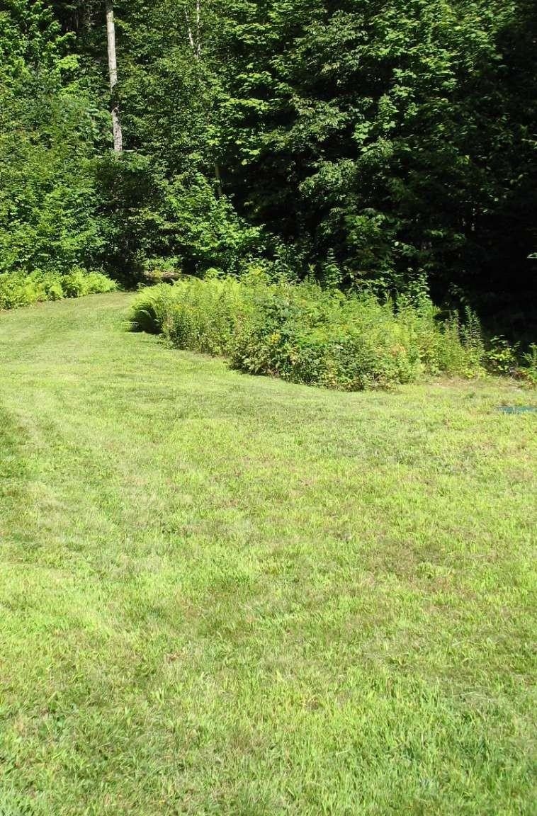 288 Graves Road Baltimore, VT 05143 - Photo 9 of 16