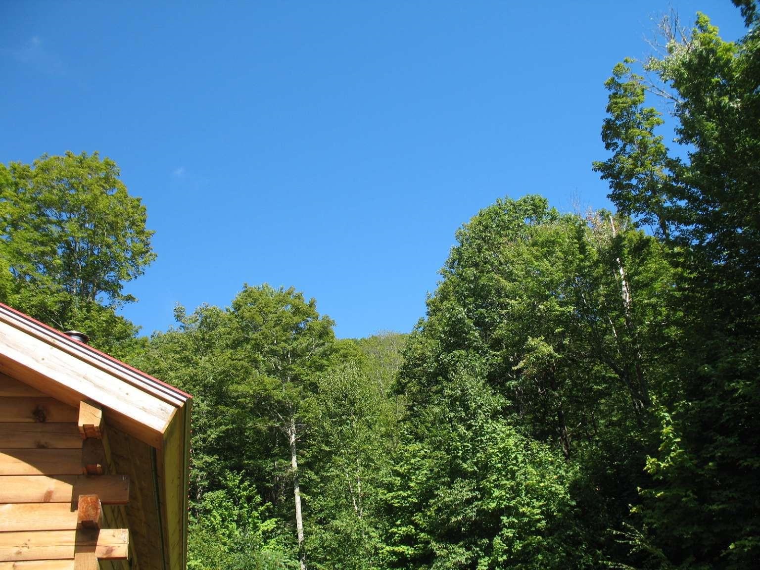 288 Graves Road Baltimore, VT 05143 - Photo 10 of 16