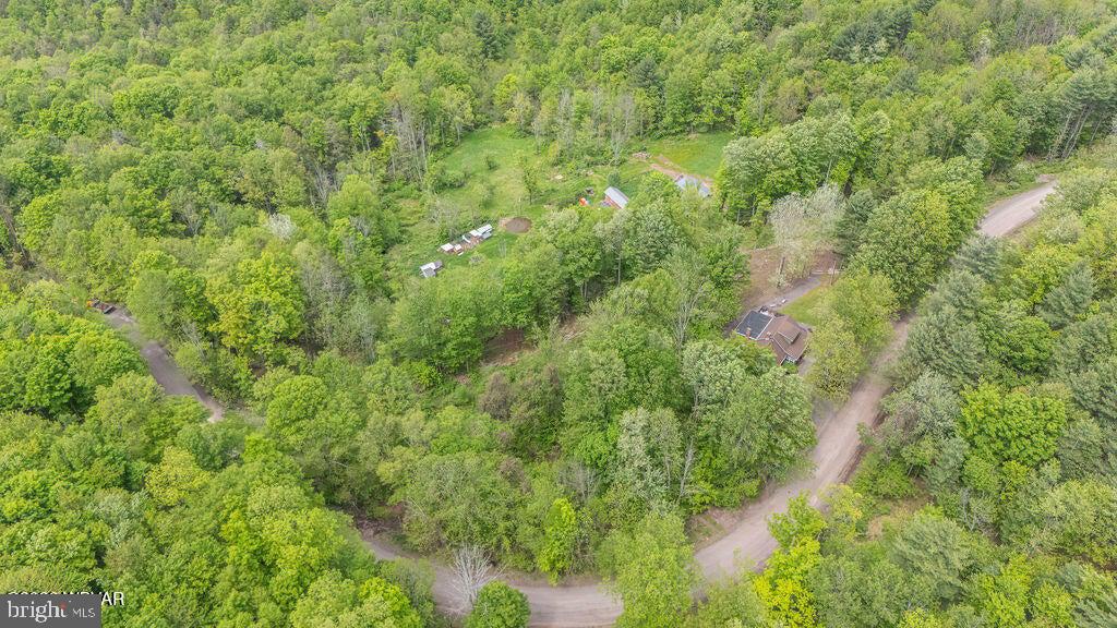2025 Whiskey Run Road Muncy Valley, PA 17758 - Photo 53 of 54 Serene woodland retreat awaits you.