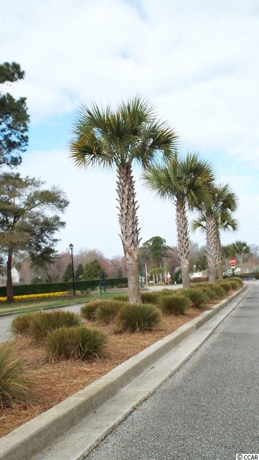 12 Palmetto Place Murrells Inlet, SC 29576 - Photo 22 of 24 Gallery Image 22