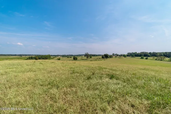 $234,000 | Lot#2 Grady Lewis Road, Poplarville, MS 39470