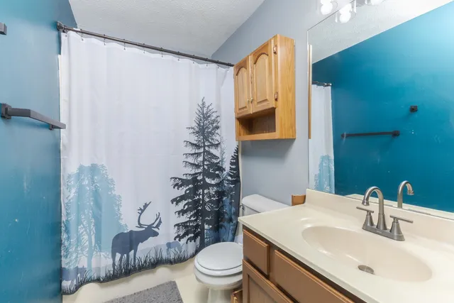 a bathroom with a sink toilet and shower