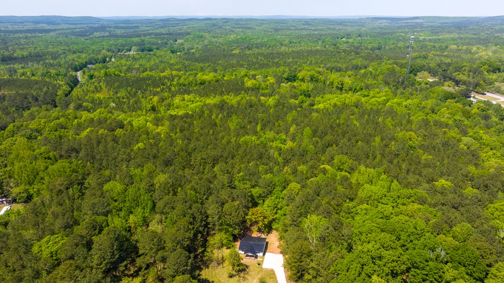 520 Perry Street Waverly Hall, GA 31831 - Photo 38 of 45 Gallery Image 38