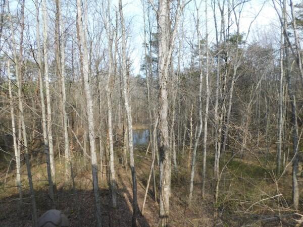 31044 Mays Road Logan, OH 43138 - Photo 9 of 27
