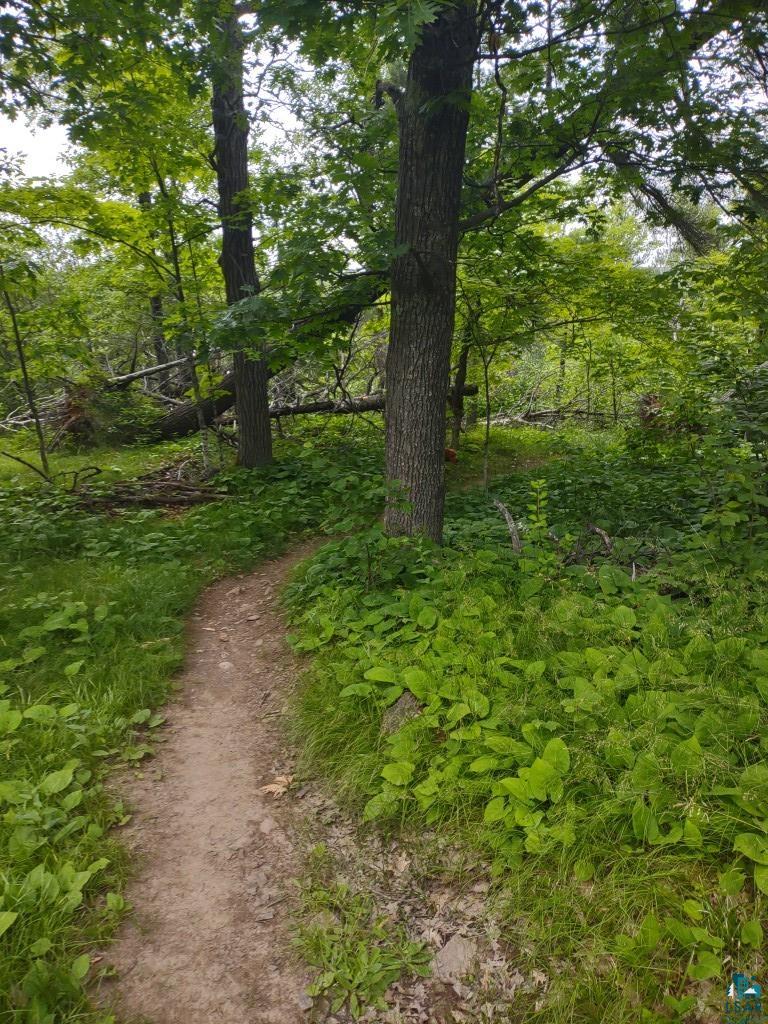 139 Howard Gnesen Road Duluth, MN 55811 - Photo 87 of 99