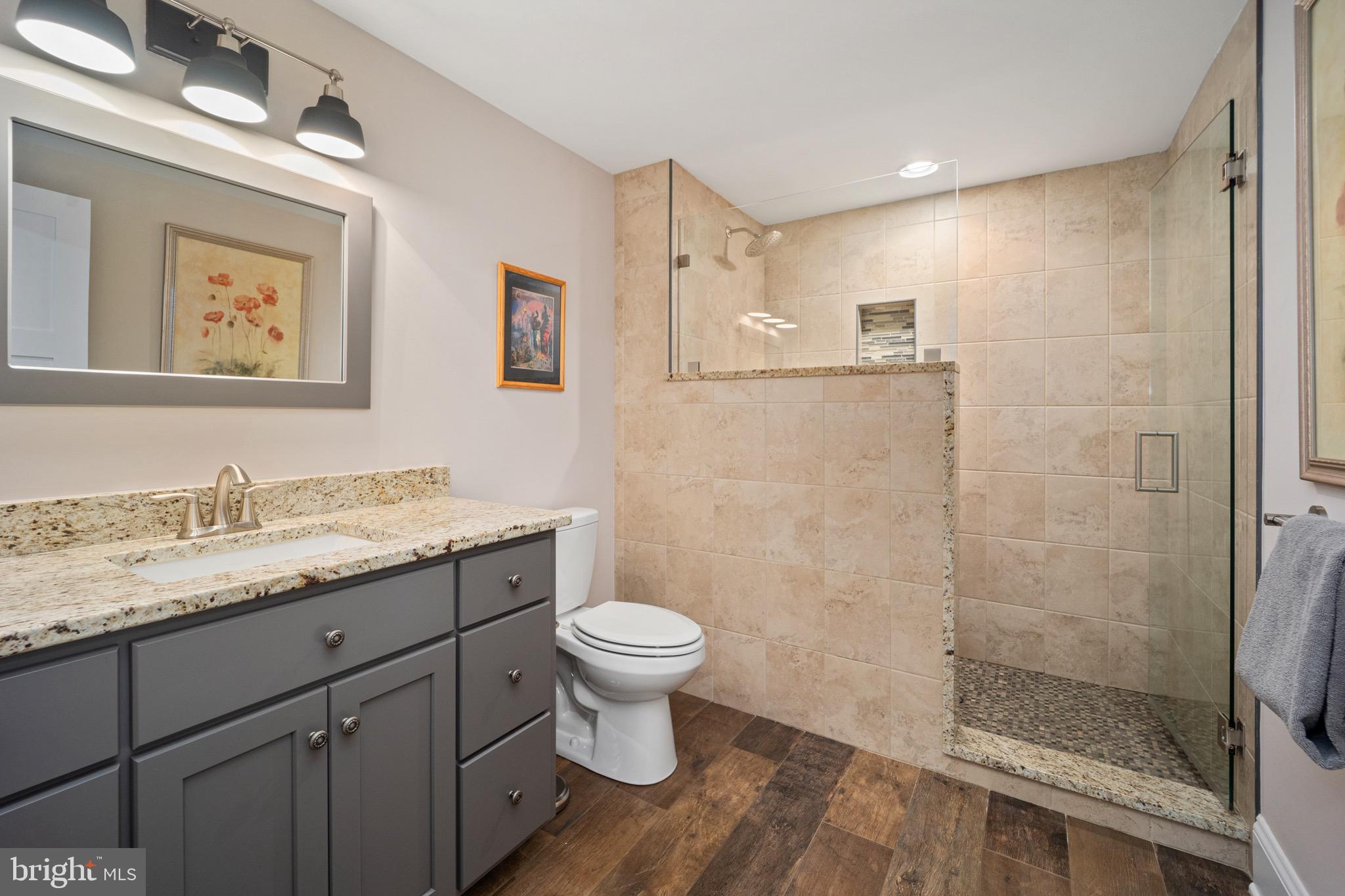 143 Pearsons Corner Road Hartly, DE 19953 - Photo 85 of 102 Full bath in basement