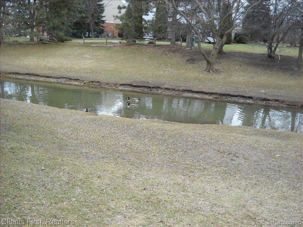 45623 Hanford Road Canton, MI 48187 - Photo 5 of 23 stream on side