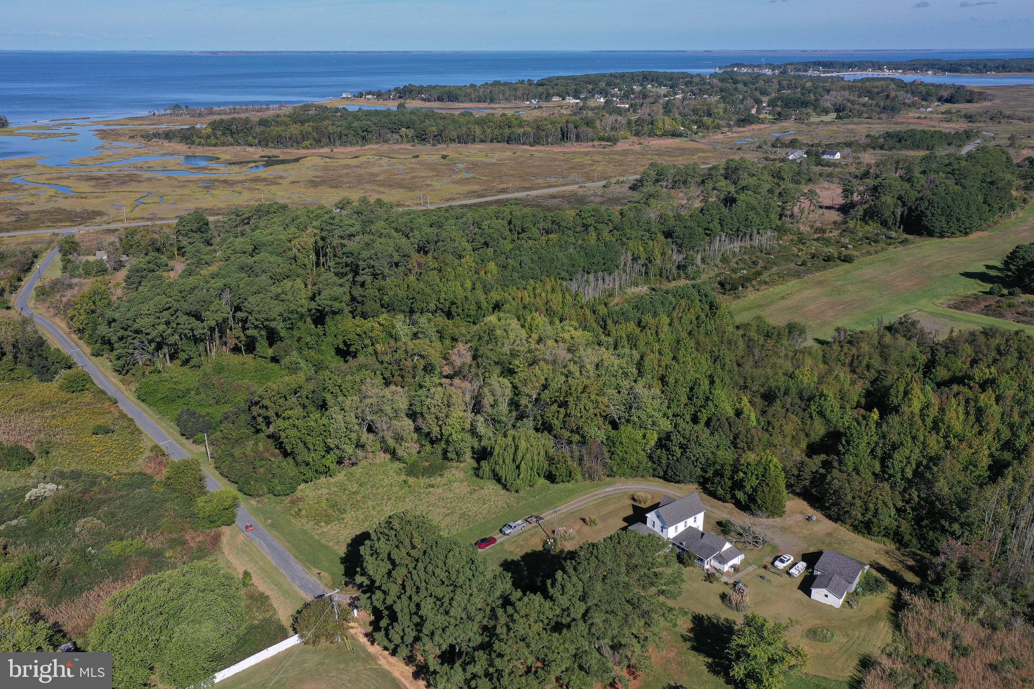 23392 Custom House Road Deal Island, MD 21821 - Photo 38 of 44 a view of an outdoor space with mountain view