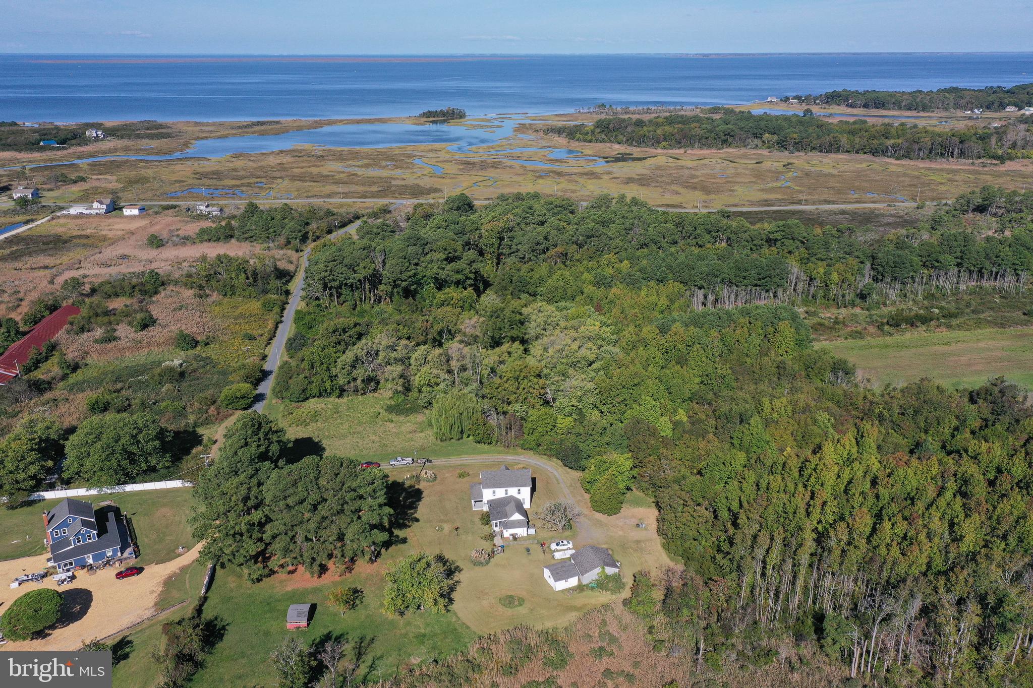 23392 Custom House Road Deal Island, MD 21821 - Photo 42 of 44 a view of an outdoor space and city view
