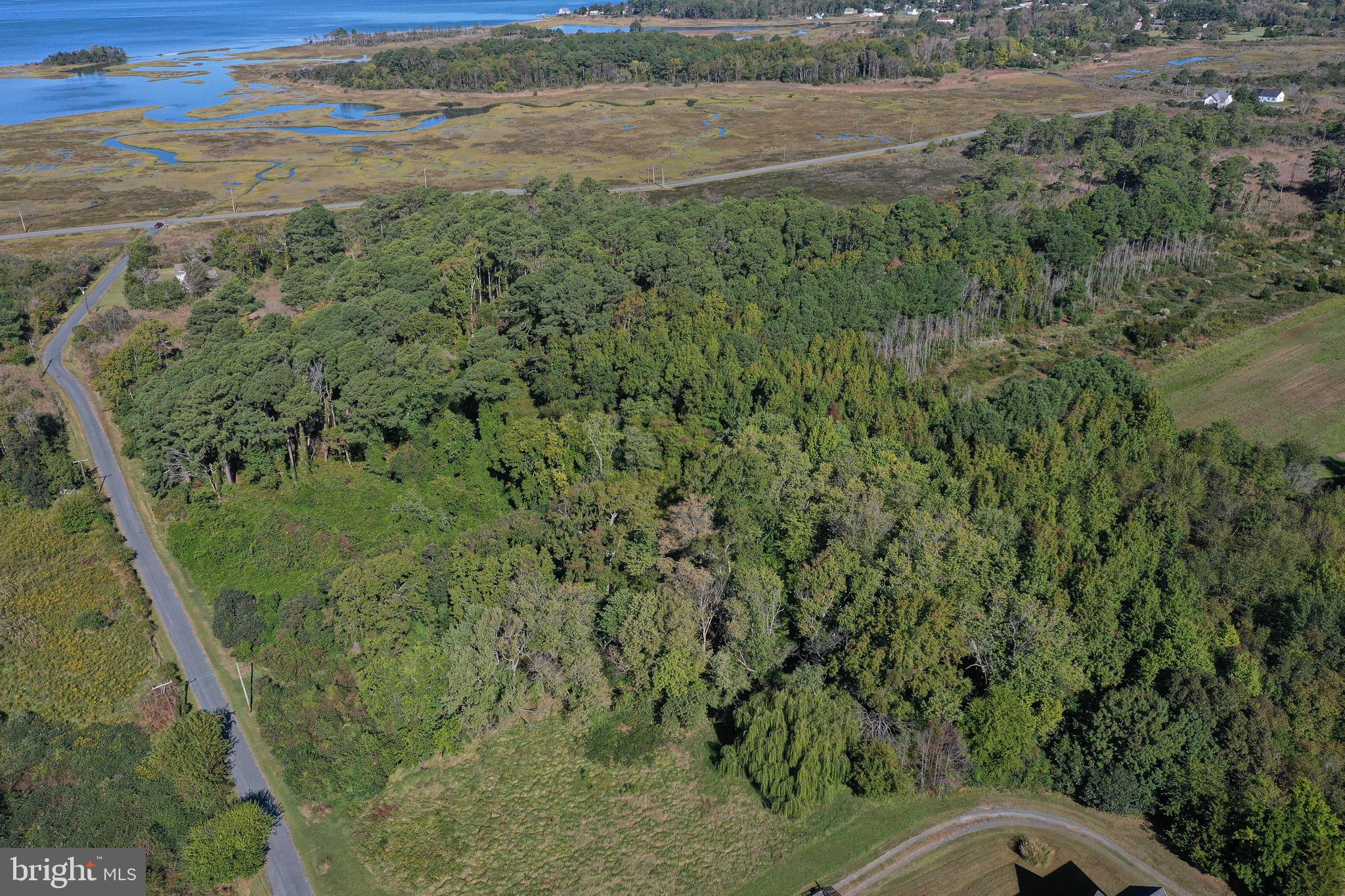 23392 Custom House Road Deal Island, MD 21821 - Photo 5 of 44 a view of a yard with a sink