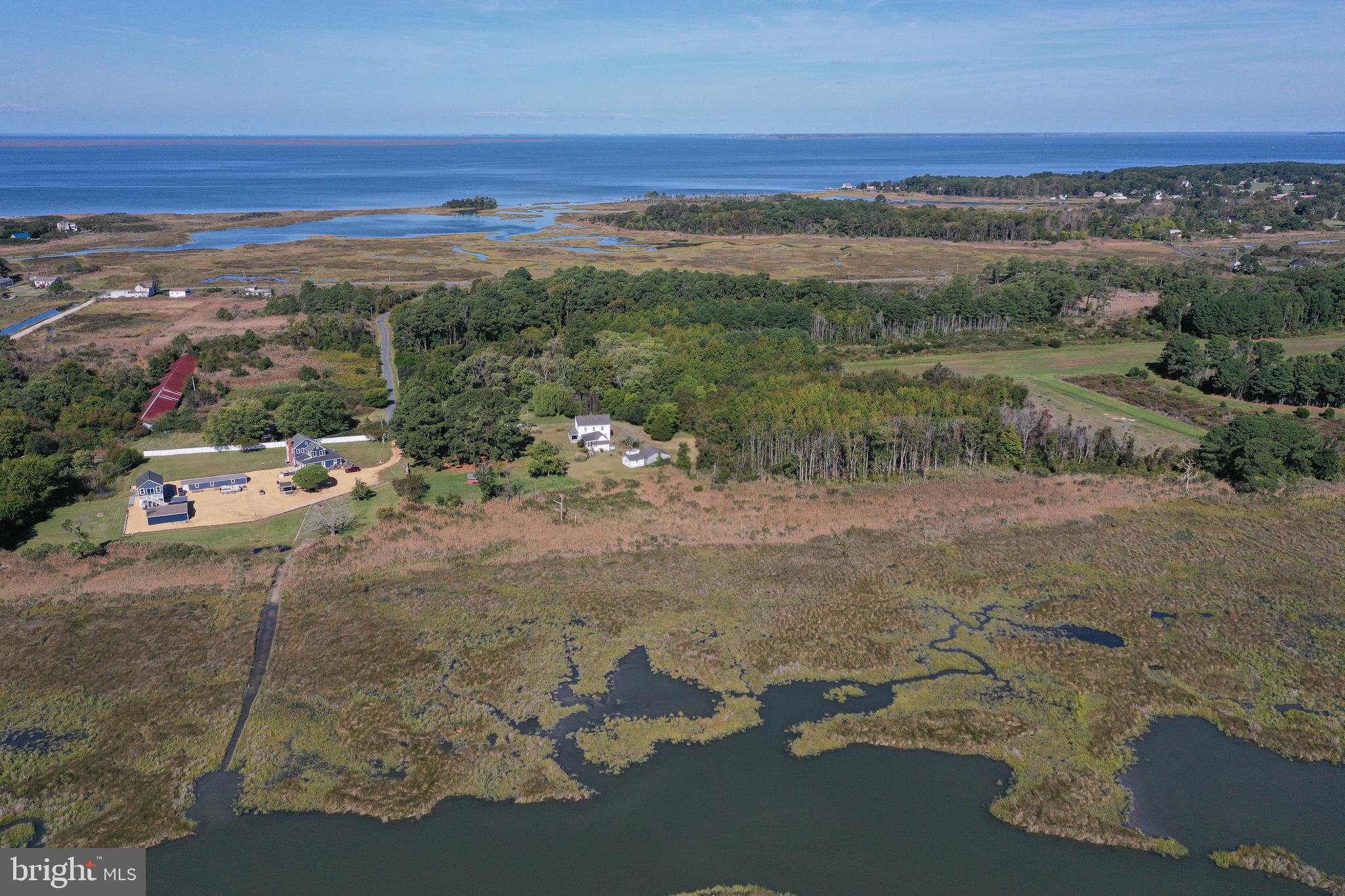 23392 Custom House Road Deal Island, MD 21821 - Photo 6 of 44 a view of outdoor space and city view