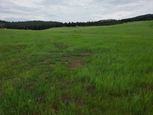 $75,000 | 37 Old Ranch House Road, Unit LOT 1, Republic, WA 99166