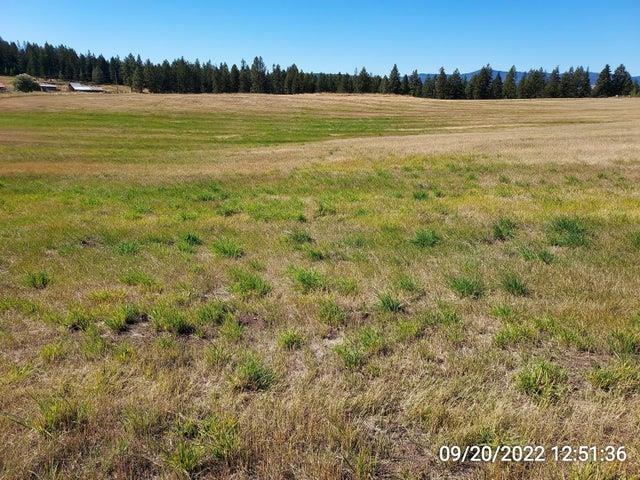 37 Old Ranch House Road, Unit LOT 1 Republic, WA 99166 - Photo 15 of 28