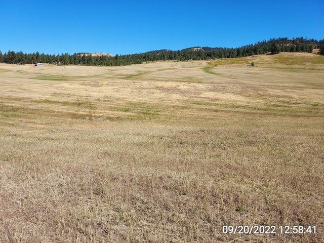 37 Old Ranch House Road, Unit LOT 1 Republic, WA 99166 - Photo 18 of 28