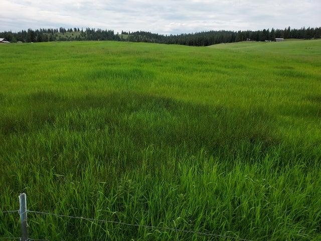 37 Old Ranch House Road, Unit LOT 1 Republic, WA 99166 - Photo 2 of 28