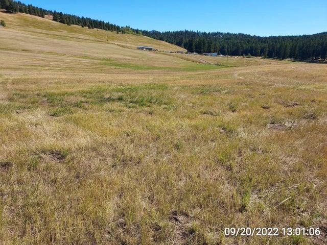 37 Old Ranch House Road, Unit LOT 1 Republic, WA 99166 - Photo 21 of 28