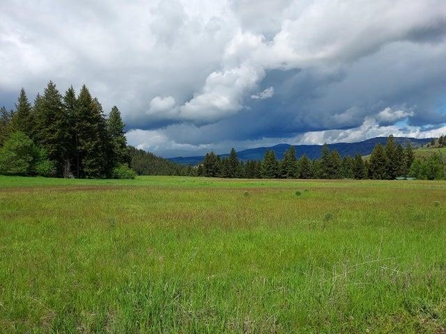 37 Old Ranch House Road, Unit LOT 1 Republic, WA 99166 - Photo 23 of 28