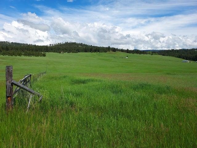 37 Old Ranch House Road, Unit LOT 1 Republic, WA 99166 - Photo 26 of 28