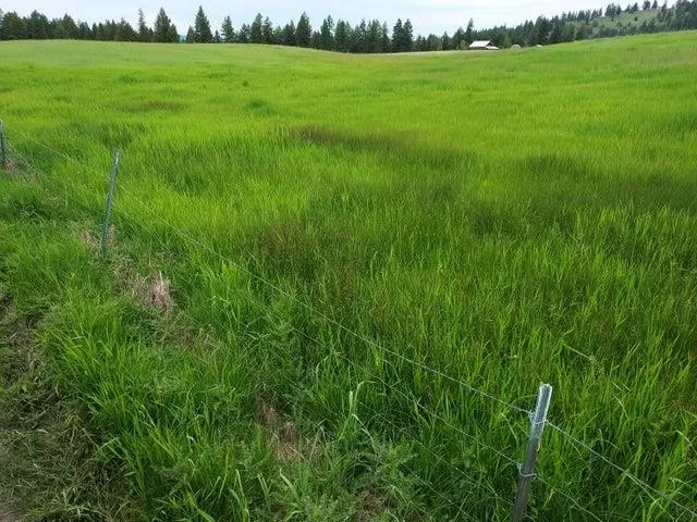 $75,000 | 37 Old Ranch House Road, Unit LOT 1, Republic, WA 99166