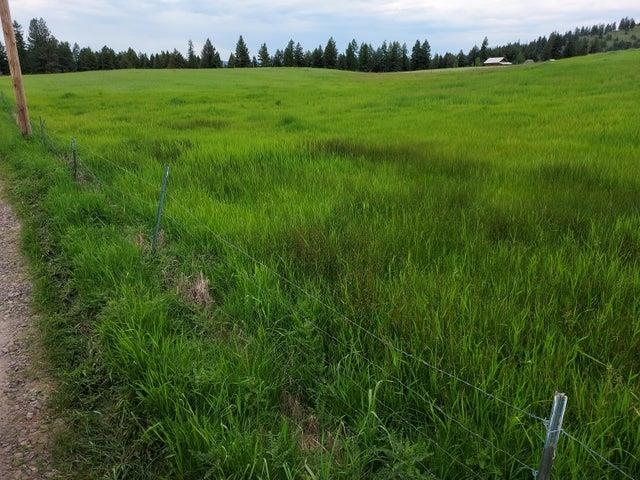 37 Old Ranch House Road, Unit LOT 1 Republic, WA 99166 - Photo 4 of 28