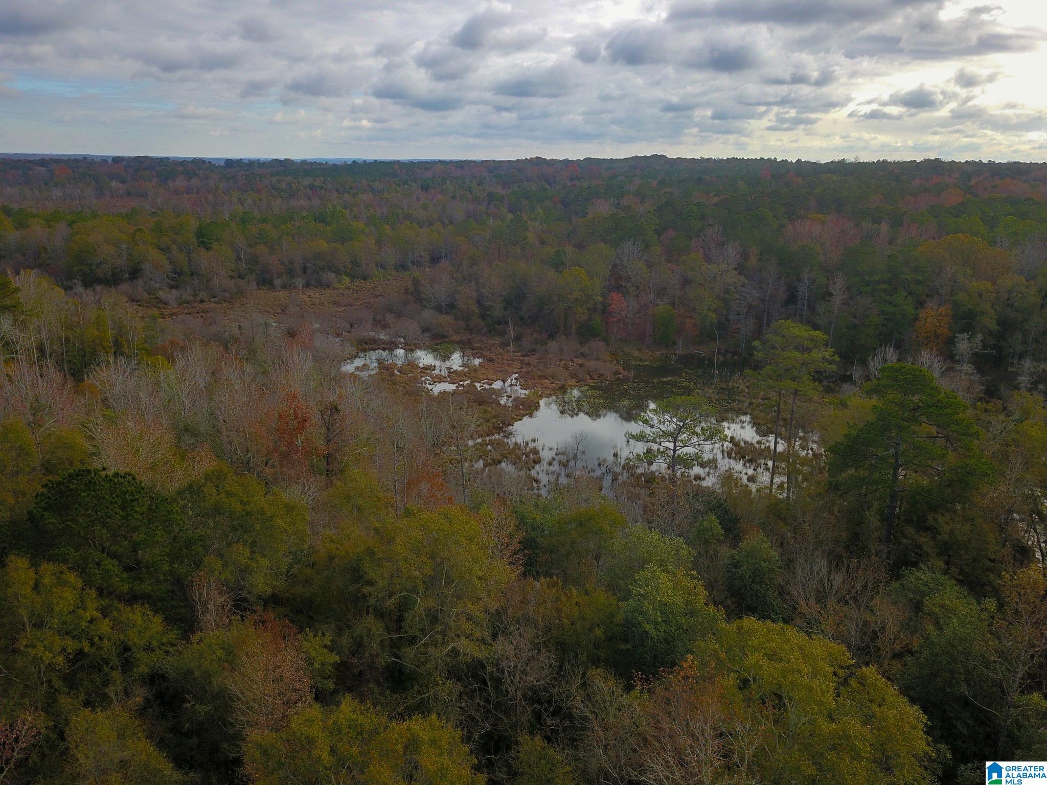 0 Midway Road Tuskegee, AL 36083 - Photo 27 of 30