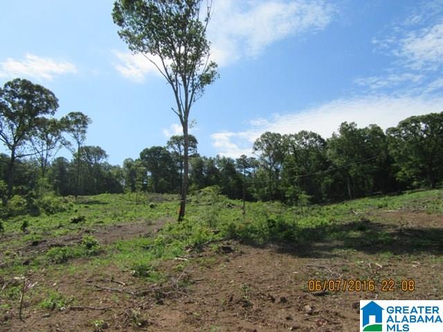 550 Davis Acres Drive, Unit 15 Alpine, AL 35014 - Photo 31 of 48