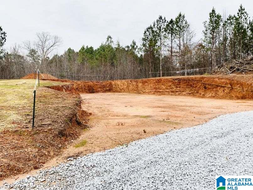 0 Boozer Road, Unit 1 Heflin, AL 36264 - Photo 7 of 11