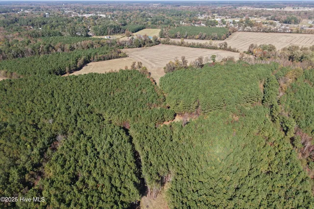 $700,000 | 0 Wesley Church Road, Farmville, NC 27828