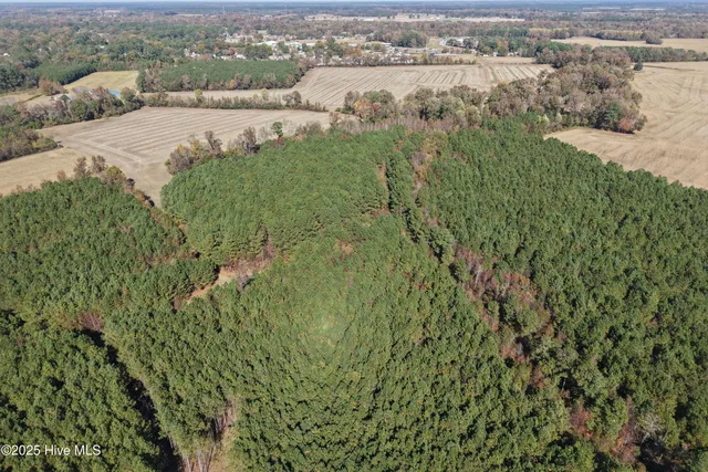 $700,000 | 0 Wesley Church Road, Farmville, NC 27828