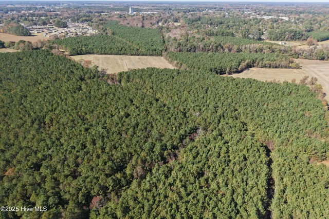 $700,000 | 0 Wesley Church Road, Farmville, NC 27828