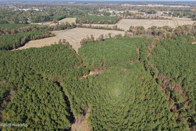 $700,000 | 0 Wesley Church Road, Farmville, NC 27828