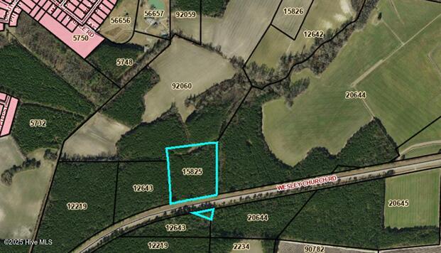 0 Wesley Church Road Farmville, NC 27828 - Photo 9 of 10 PARCEL 15825 LAND ABI TIMBER