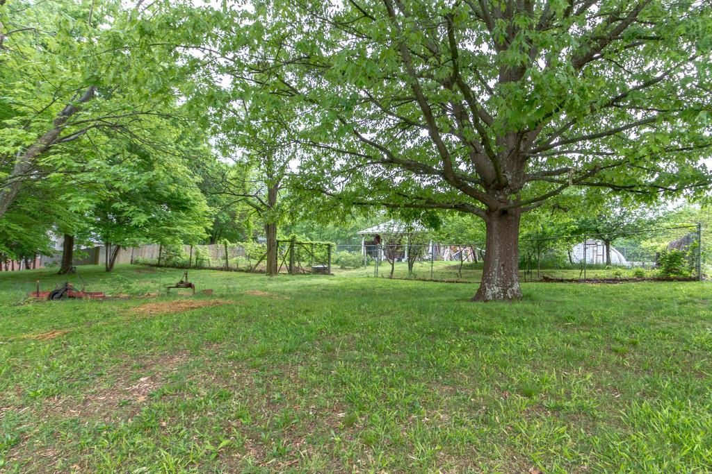 471 Calista Road White House, TN 37188 - Photo 22 of 25 Backyard looking towards greenhouse/storage building/planting areas