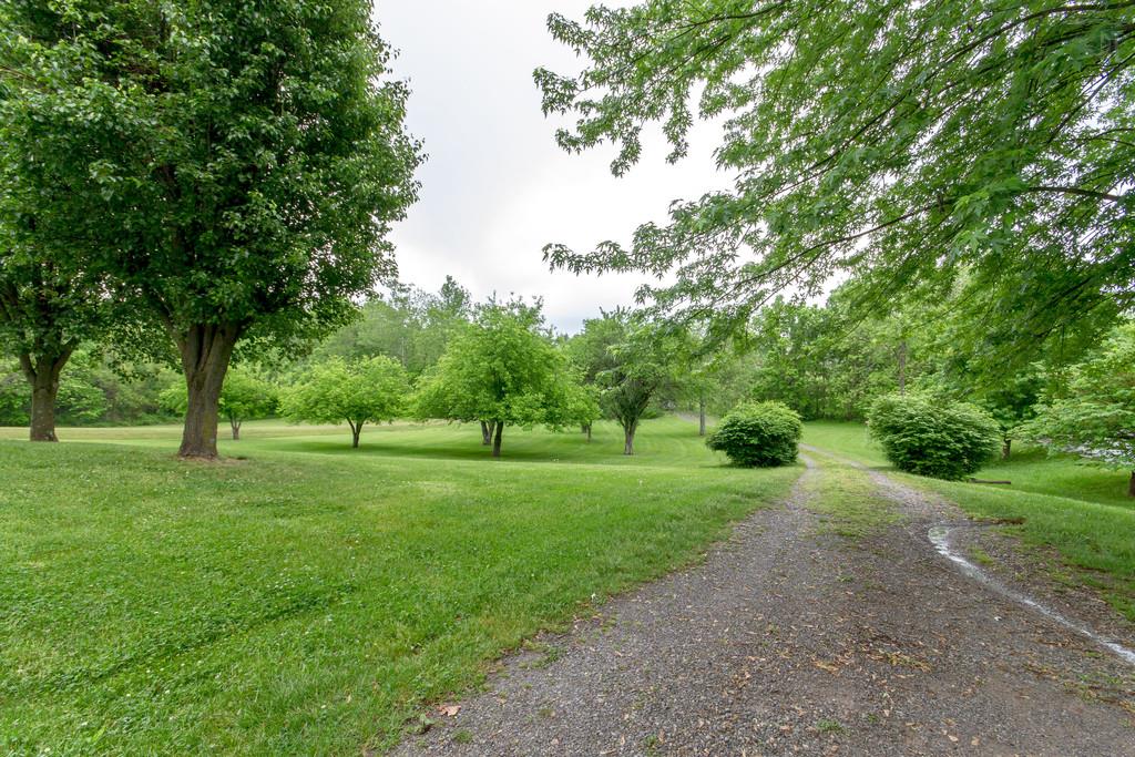 471 Calista Road White House, TN 37188 - Photo 3 of 25 Beautiful 2.6 acre lot - view from the driveway